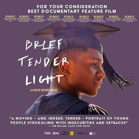 Brief Tender Light Brief Tender Light film